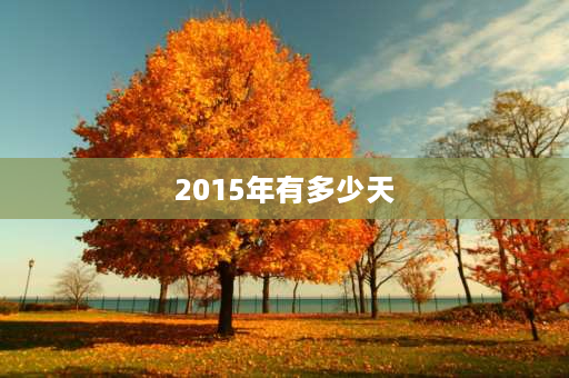 2015年有多少天 2015全年共有几天？