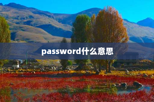 password什么意思 password是什么意？