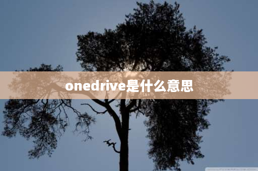 onedrive是什么意思 one driver是什么？