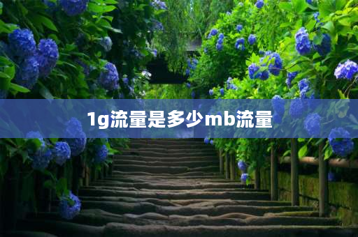 1g流量是多少mb流量 1GB流量等于几MB？