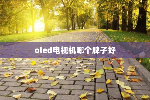 oled电视机哪个牌子好 索尼oled电视屏烧屏严重吗？