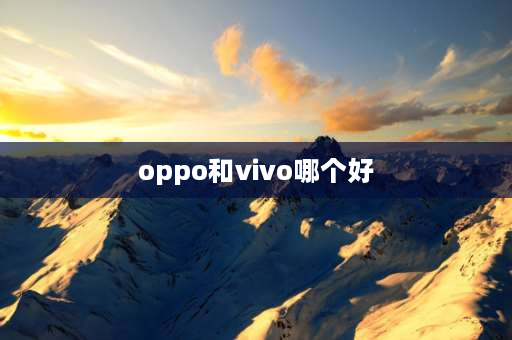 oppo和vivo哪个好 OPPO和VIVO哪个比较好？