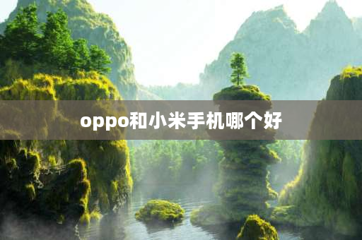 oppo和小米手机哪个好 oppo和小米哪个好用？