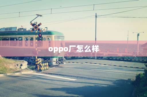 oppo厂怎么样 vivo电子厂真的很牛逼吗？