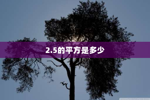 2.5的平方是多少 2.5=多少dm平方？