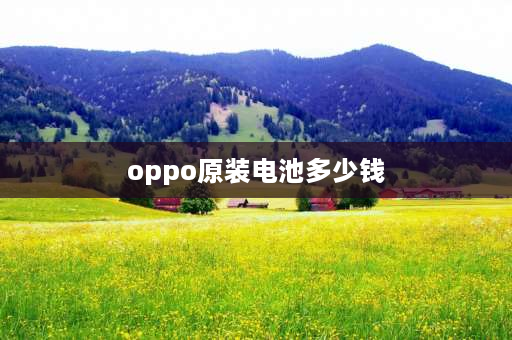 oppo原装电池多少钱 oppoa11x更换电池多少？