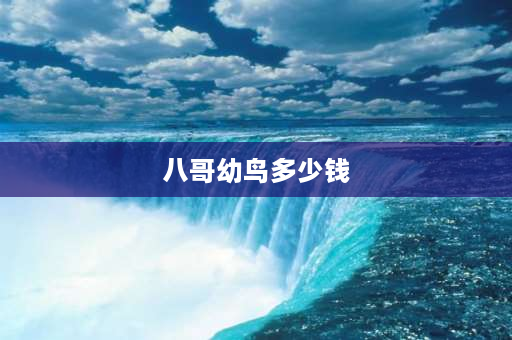 八哥幼鸟多少钱 四月下旬有海南八哥雏鸟买吗？