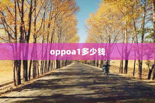 oppoa1多少钱 OPPOA1和OPPOA1活力版有什么区别？