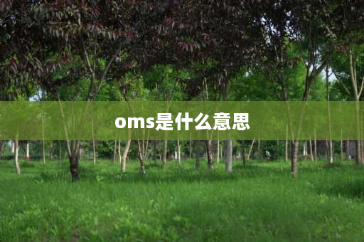 oms是什么意思 电力系统OMS系统是干什么的？