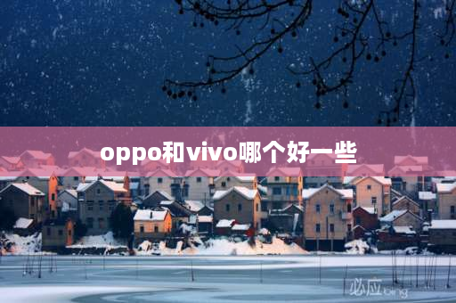 oppo和vivo哪个好一些 oppo好还是vivo好用？