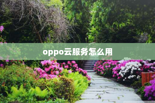 oppo云服务怎么用 oppo手机的云服务怎么用？