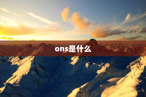 ons是什么 ons文件？