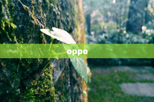 oppo 手机怎么样 oppo手机音乐功能比较好吗？