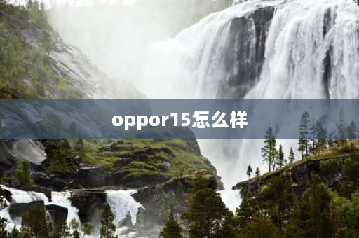 oppor15怎么样 oppor15标准版拍照怎么样？