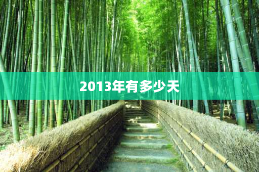 2013年有多少天 2000年到2013年要多少天？