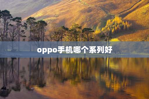 oppo手机哪个系列好 oppo手机各系列排行？