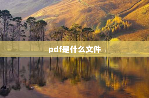 pdf是什么文件 PDF文件是什么文件啊？