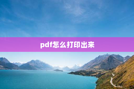 pdf怎么打印出来 pdf怎么打印出来a4对折成小册子？