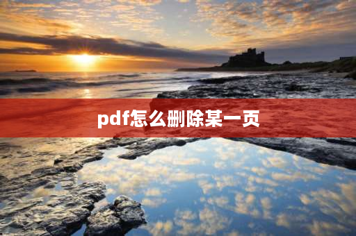 pdf怎么删除某一页 pdf不在一页怎么调整？