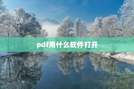 pdf用什么软件打开 wpsoffice能看pdf吗？