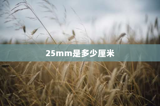 25mm是多少厘米 25mm是多少公分？