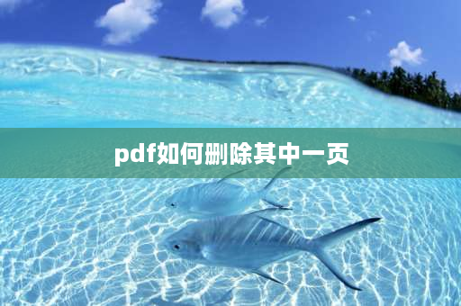 pdf如何删除其中一页 怎么删除PDF文件中的某页？