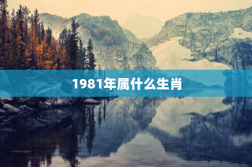 1981年属什么生肖 1980年出生属啥？