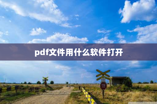 pdf文件用什么软件打开 wpsoffice能看pdf吗？