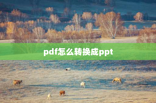 pdf怎么转换成ppt PDF如何转换成PPTPDF转换成PPT方法？