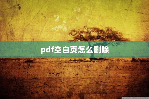 pdf空白页怎么删除 PDF空白页怎么去掉？