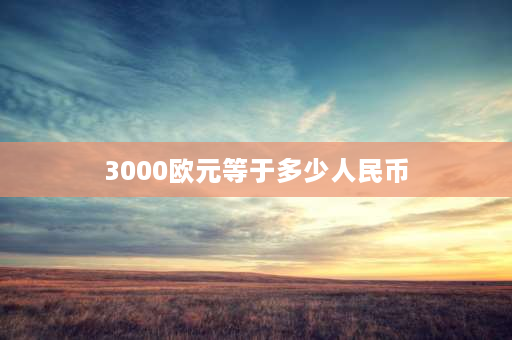 3000欧元等于多少人民币 3000欧元在德国够花吗？