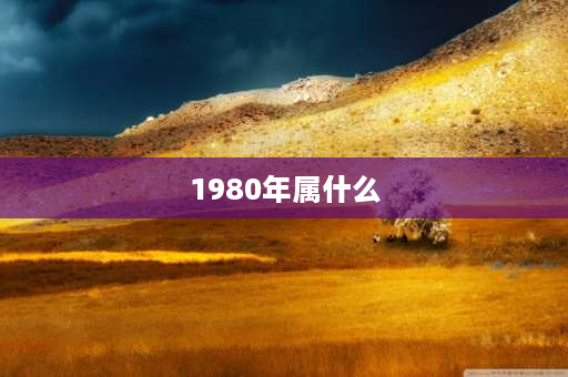 1980年属什么 80年属猴是什么猴？