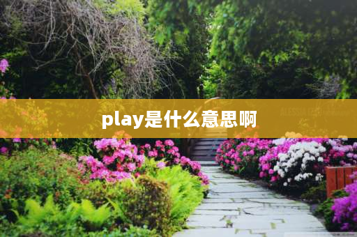 play是什么意思啊 play这个单词的意思有哪些？单数形式是什么？