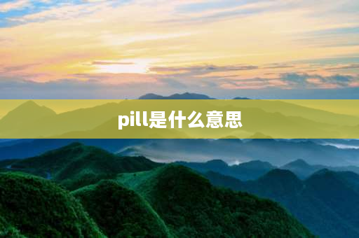 pill是什么意思 丹丸的意思？