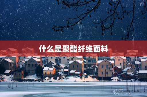 什么是聚酯纤维面料 聚酯纤维面料是什么面料聚酯纤维面料优缺点？