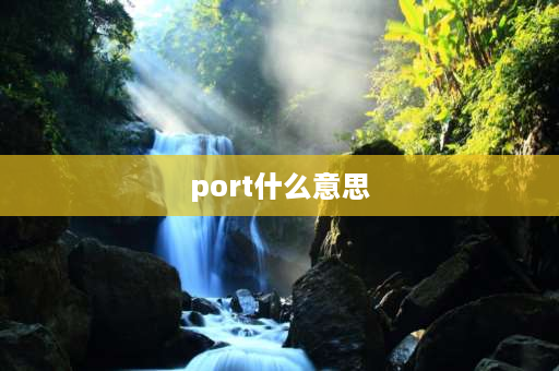 port什么意思 port是什么？