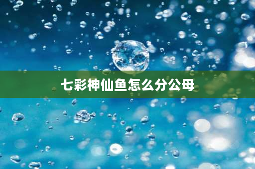 七彩神仙鱼怎么分公母 七彩神仙鱼如何辨别雌雄？