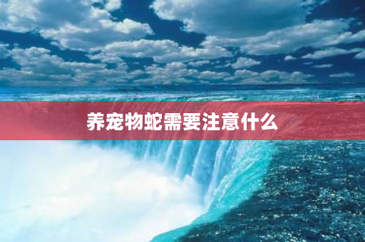 养宠物蛇需要注意什么 养宠物蛇的十大禁忌？