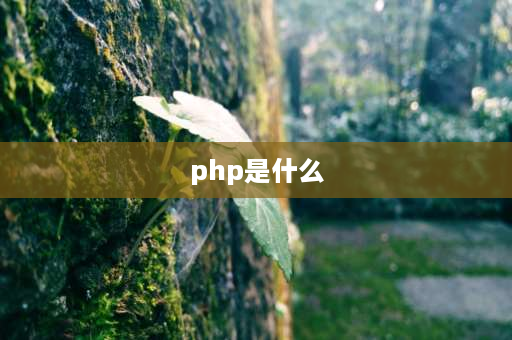 php是什么 PHP是什么？