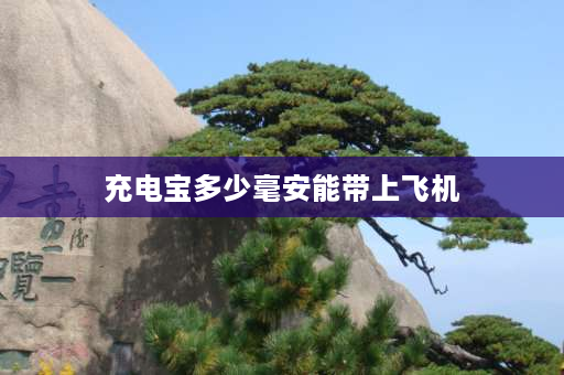 充电宝多少毫安能带上飞机 充电宝多大的容量可以带上飞机？