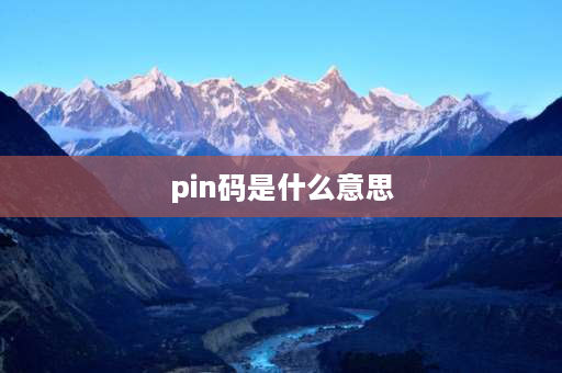 pin码是什么意思 PIN码是什么意思？