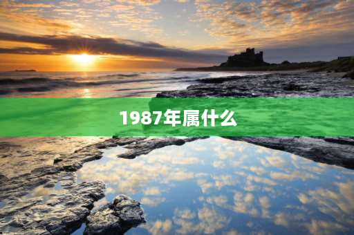 1987年属什么 1987年属什么兔？