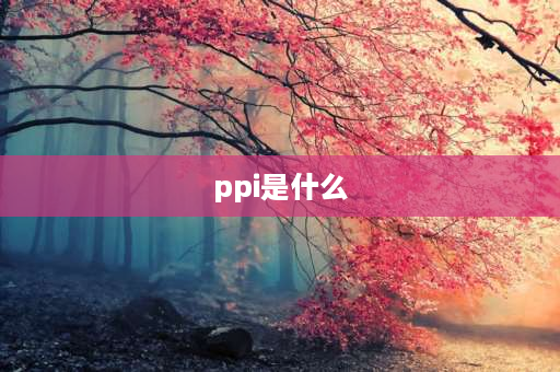 ppi是什么 ppi是什么？