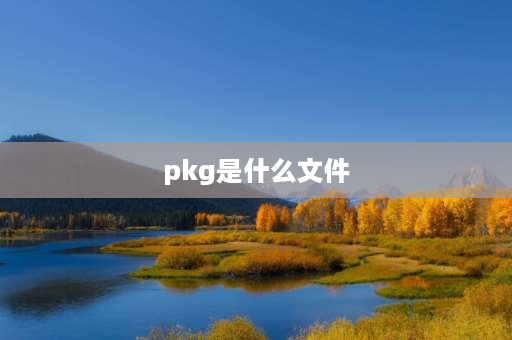 pkg是什么文件 pkg金手指什么意思？