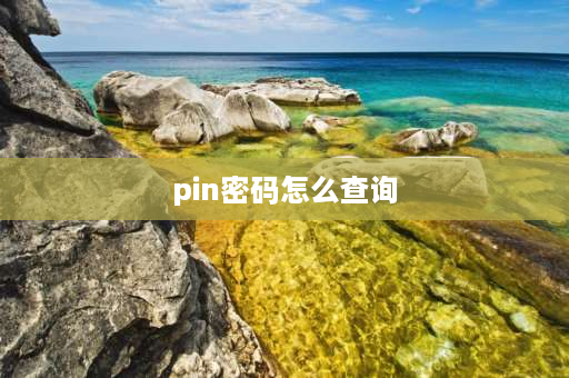 pin密码怎么查询 如何查询pin密码？