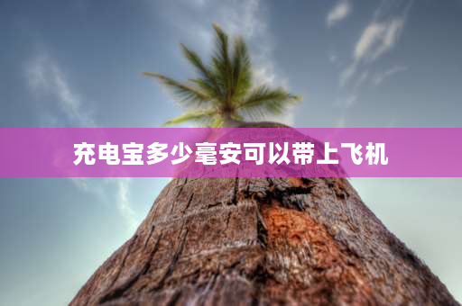 充电宝多少毫安可以带上飞机 飞机场充电宝最大能带多少毫安？