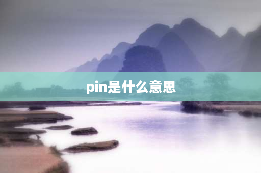 pin是什么意思 pin是什么网络用语？