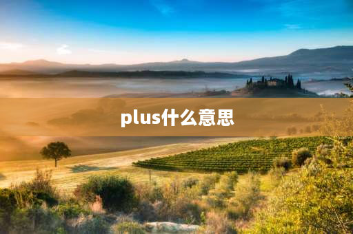 plus什么意思 plus是什么意思？苹果手机？