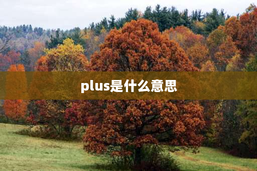 plus是什么意思 plus是指什么？