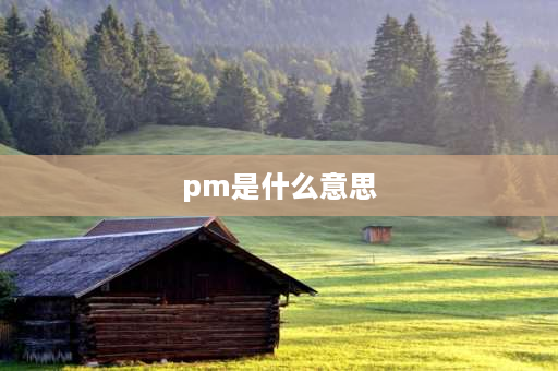 pm是什么意思 pm什么意思网络语？